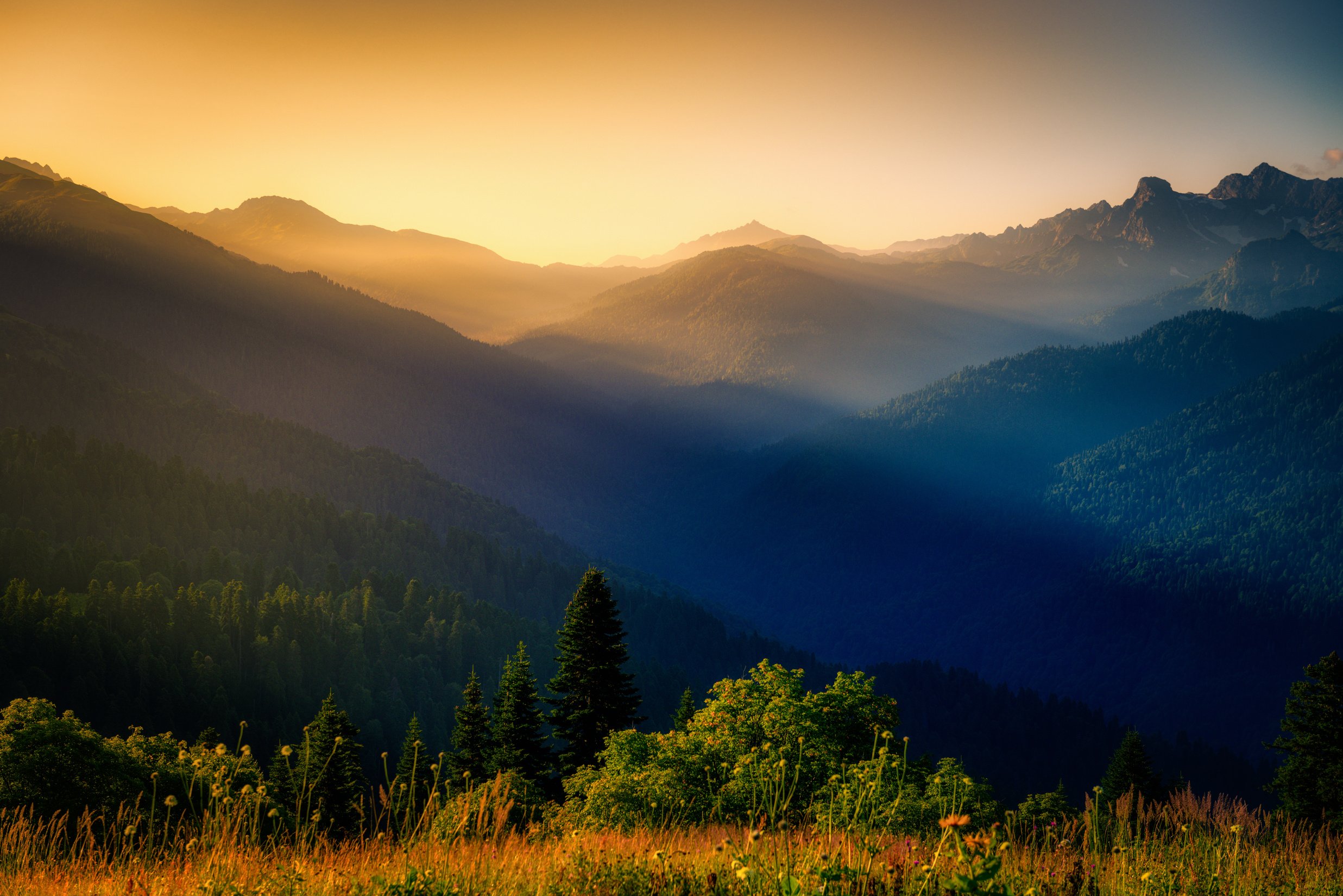 Green Trees and Mountains